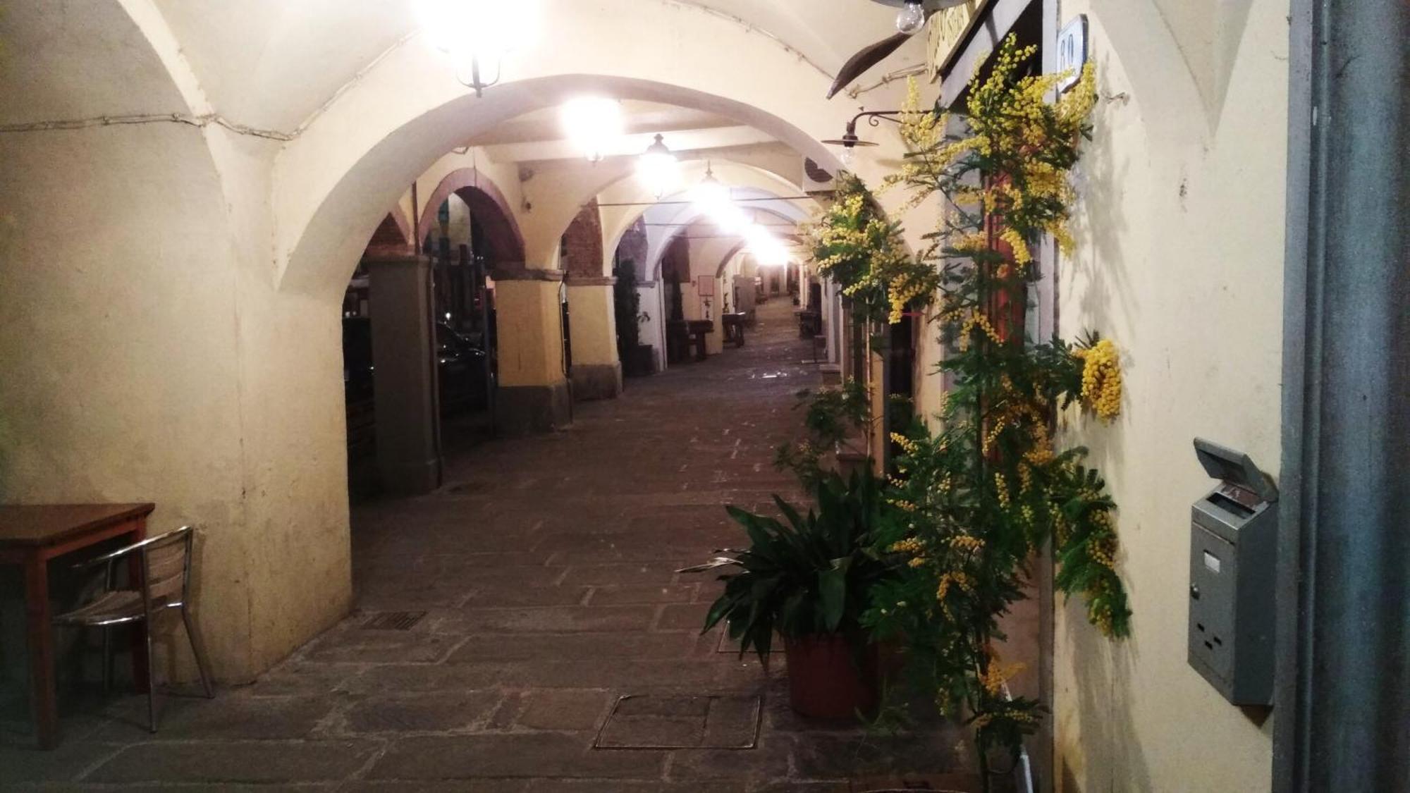 Апартаменти Il Nido Nel Chianti Греве-ін-К'янті Екстер'єр фото